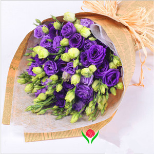 Purple fantasy