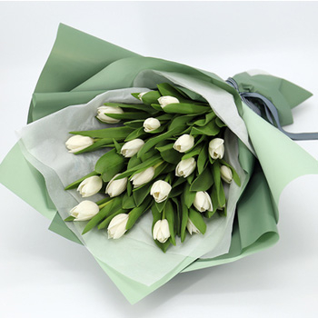 white tulip (10 tulips)
