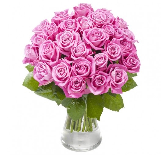 Roses of Plenty (Basic)