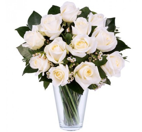 Simple White Carnation (Basic)