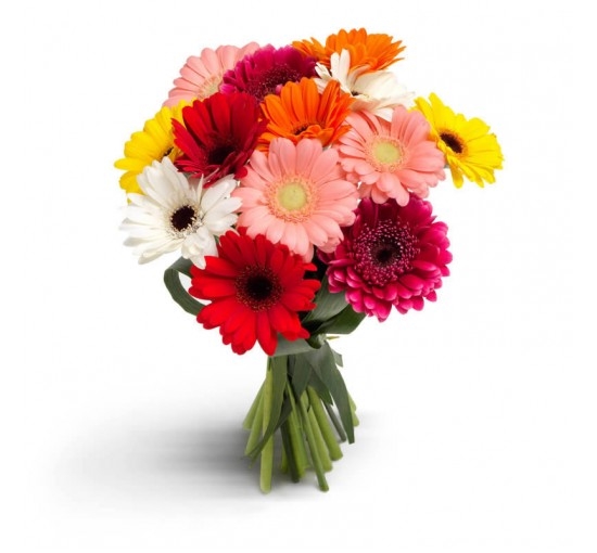 Glorious Gerberas (Basic)