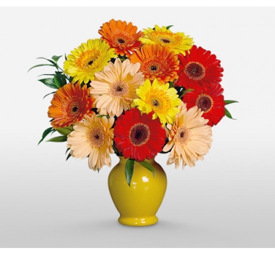 Sunshine Fresh Delight (Basic)