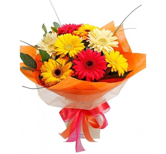 Bright Gerbera Bouquet (Basic)
