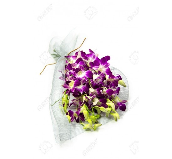 Oriental Orchids (Basic)