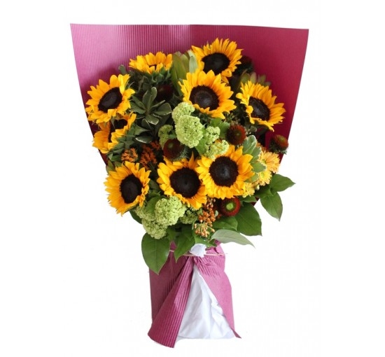 Starburst Sunflower (Basic)
