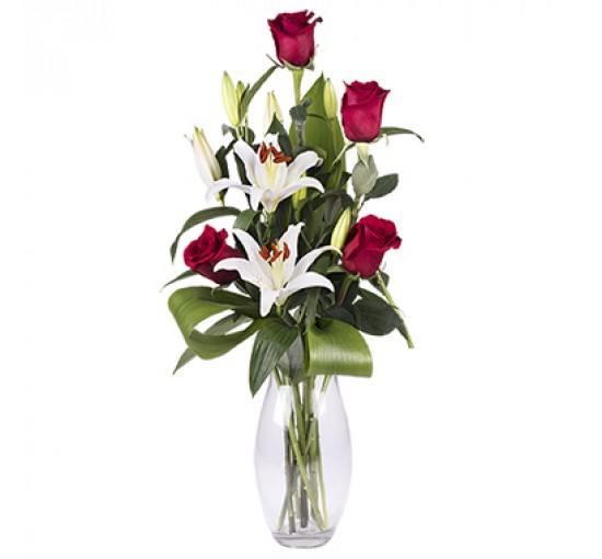 Red Passion Gerberas (Basic)