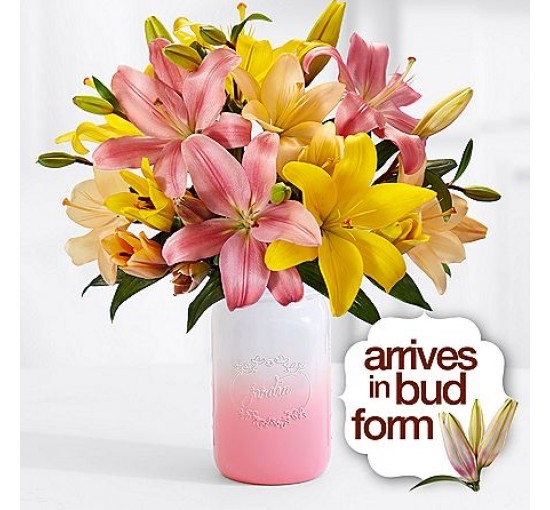 Royal Spring Lilies (Basic)