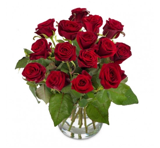 Red roses of Perfection