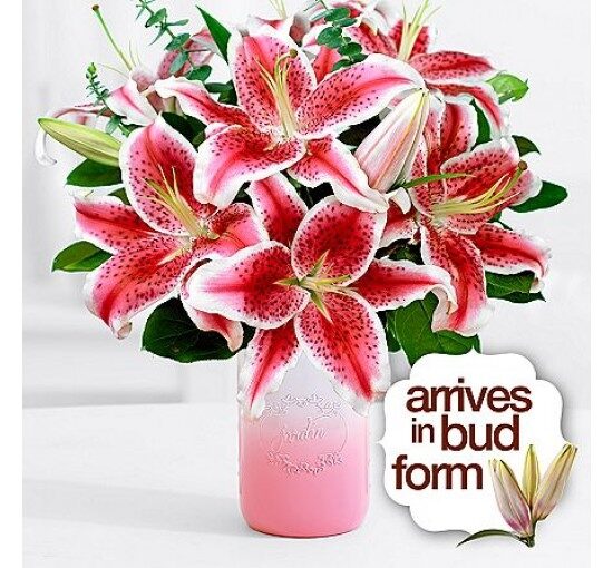 Fragrant Stargazer Lilies (Basic)