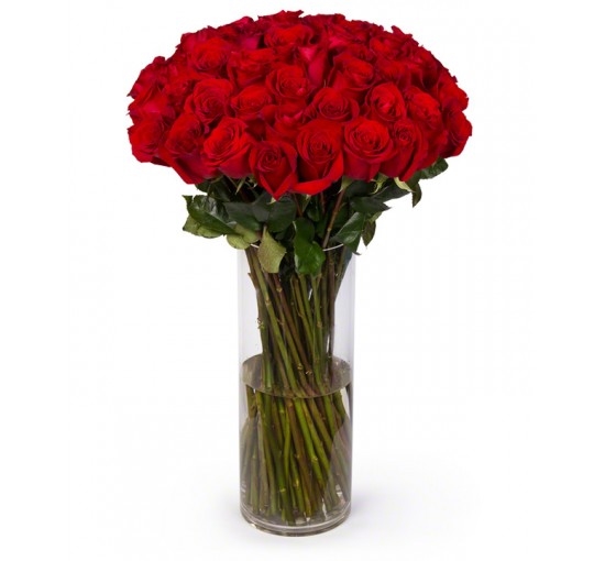 Ultimate Red Long Stem Roses