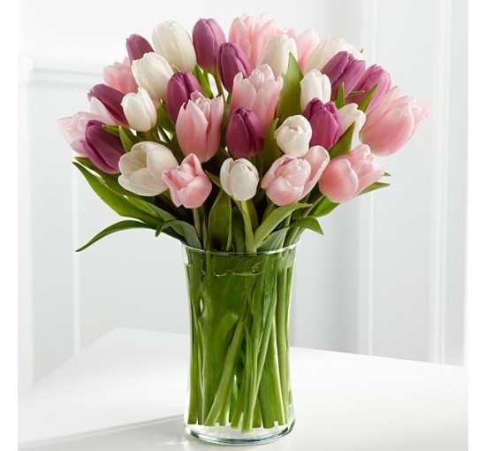 Sherbet Tulips (Basic)