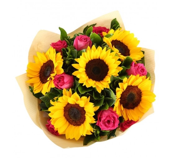 Pink in Sunflowers (Basic)