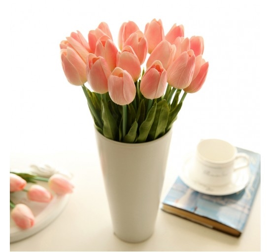 Tulips in peach (Basic)