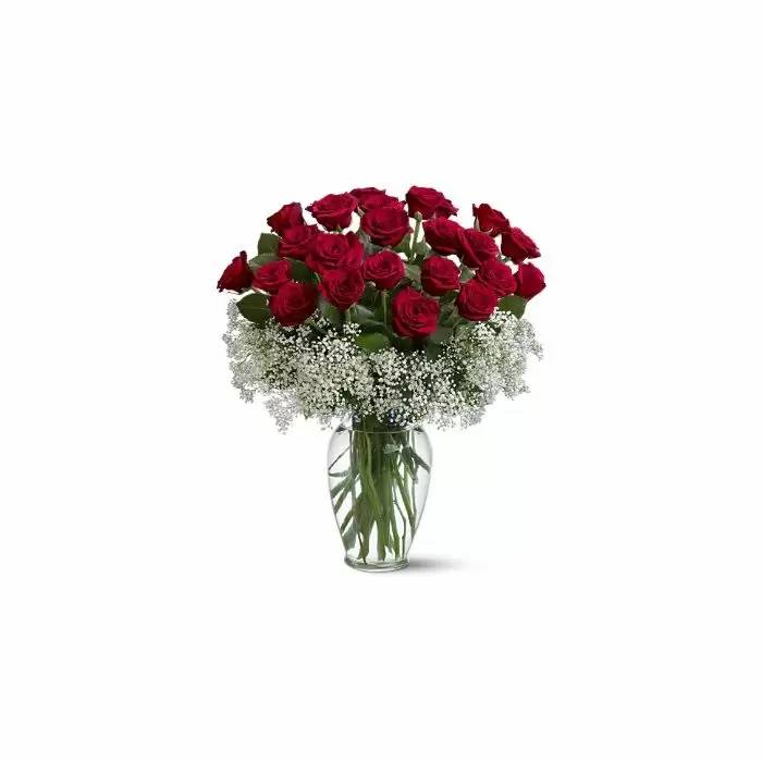 Bouquet Of 24 Red Roses (No Vase)
