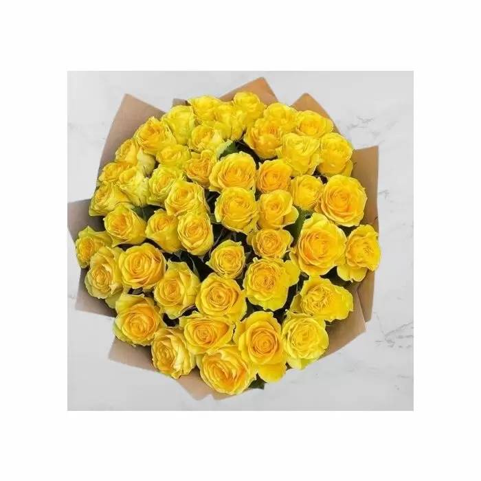 48 Yellow Roses