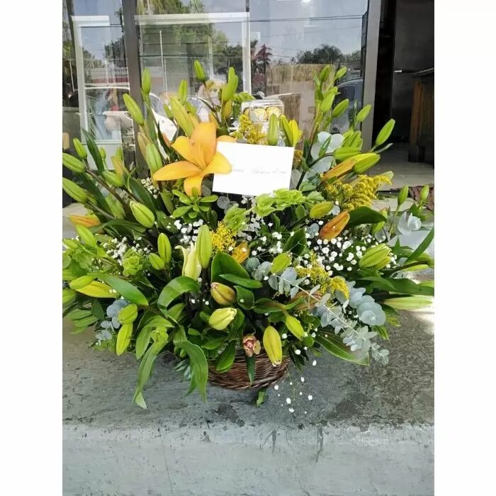 Yellow Lilies in Base