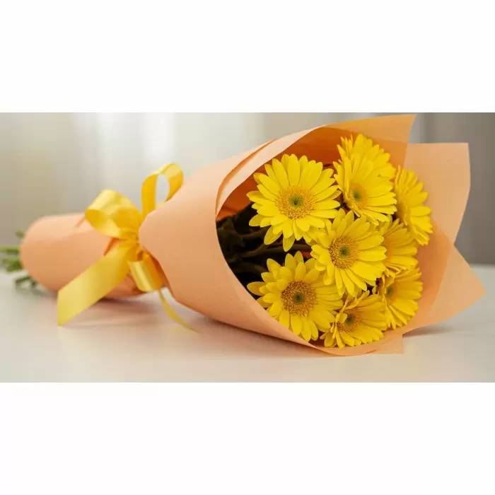 Yellow Maggy