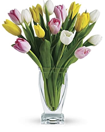 Giftblooms Tulip Treasure (Standard)