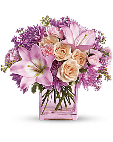 Giftblooms Possibly Pink (Standard)