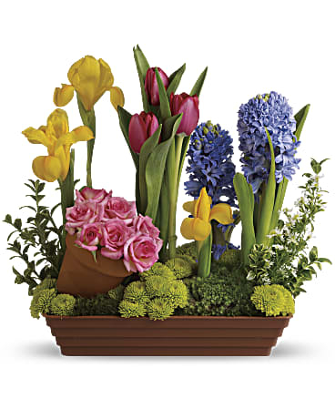 Spring Favorites (Standard)