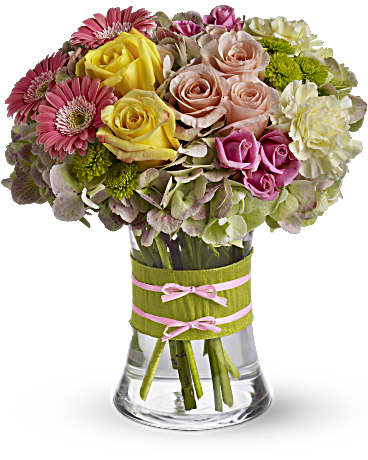 Fashionista Blooms (Standard)