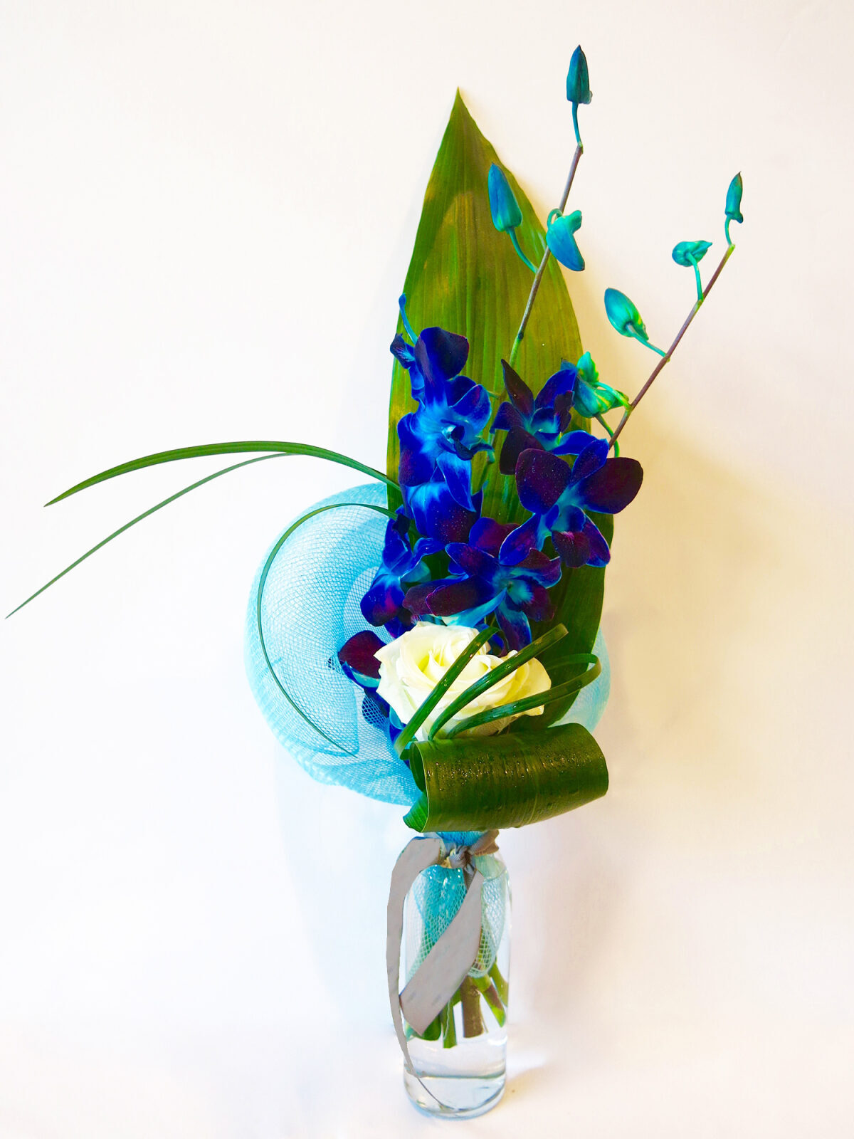 Truly Blue