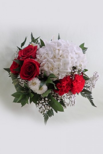 WB17 Red And White