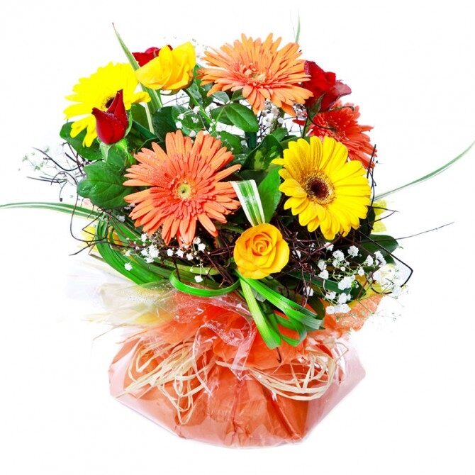 Colorful Posy