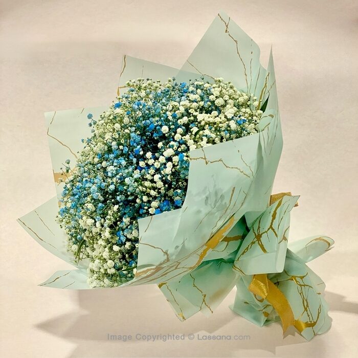 BLUE SNOW