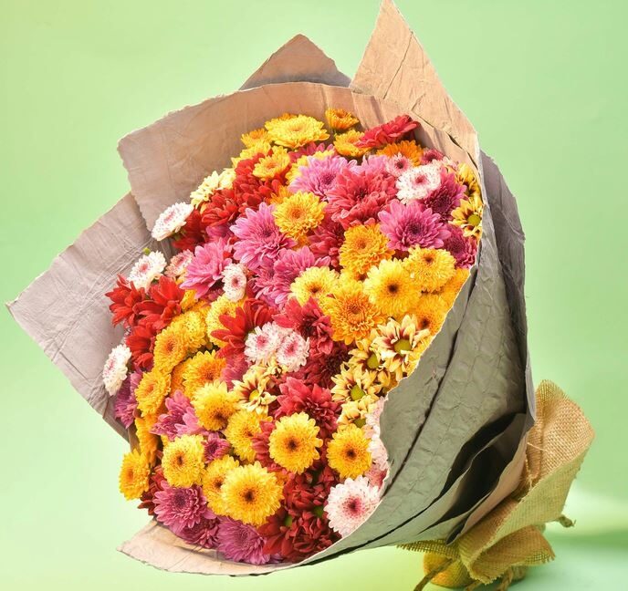WATERFALL SUNSET (50 STEMS CHRYSANTHEMUMS)