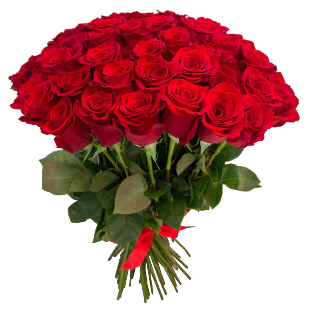 50 Pieces Red Roses In A Bouquet