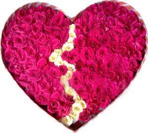 Broken Heart Shaped Roses With101 Roses
