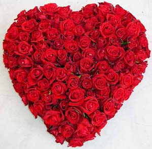(06) Heart Shaped Roses W/101 Roses