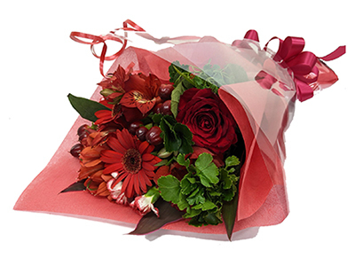 Red Passion (Medium)