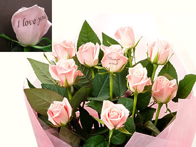 Rose Mail