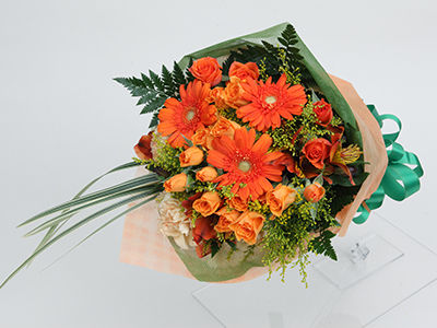 Vivit Orange (Small)