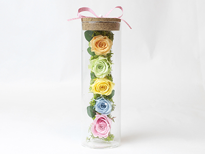 Glass Rose(Preserved Flower)
