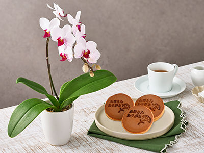 Manon mix(Preserved Flower)