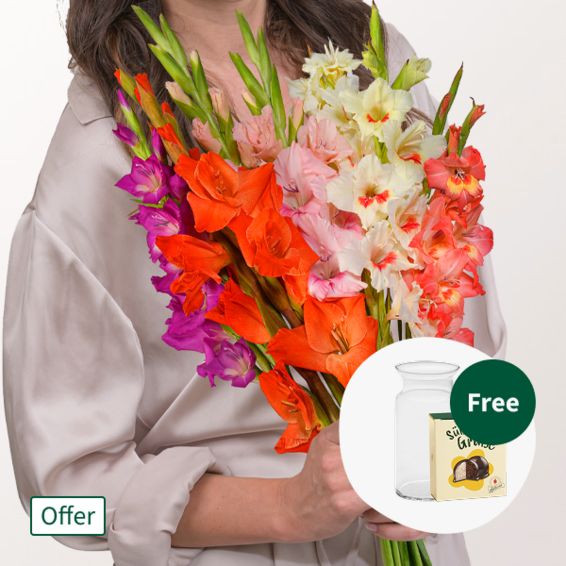 Bunch of Mixed Coloured Gladioli with Halloren Balls & vase (10 gladioli)