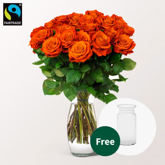 Orange Fairtrade Roses in a Bunch with vase (20 roses)