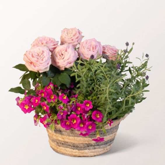 Summer Mornings in a Provence Basket