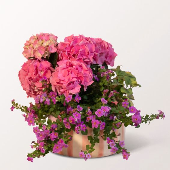 A Cheerful Summer Medley