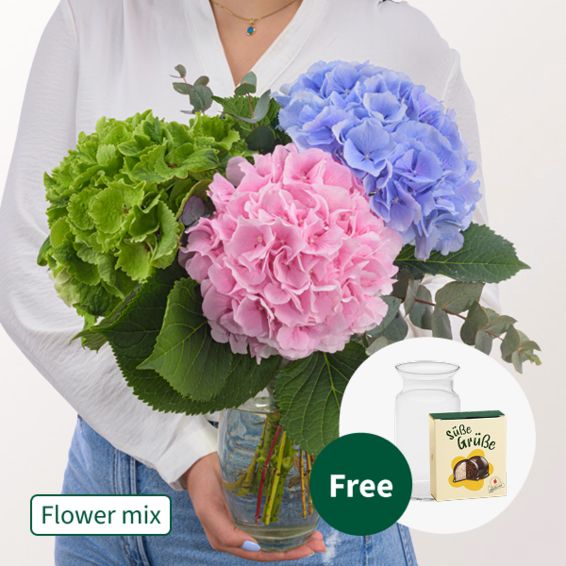 Dreamlike Hydrangea with Eucalyptus with Halloren Balls & vase