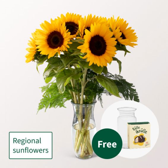 Bunch of 7 Sunflowers with Halloren Balls & vase