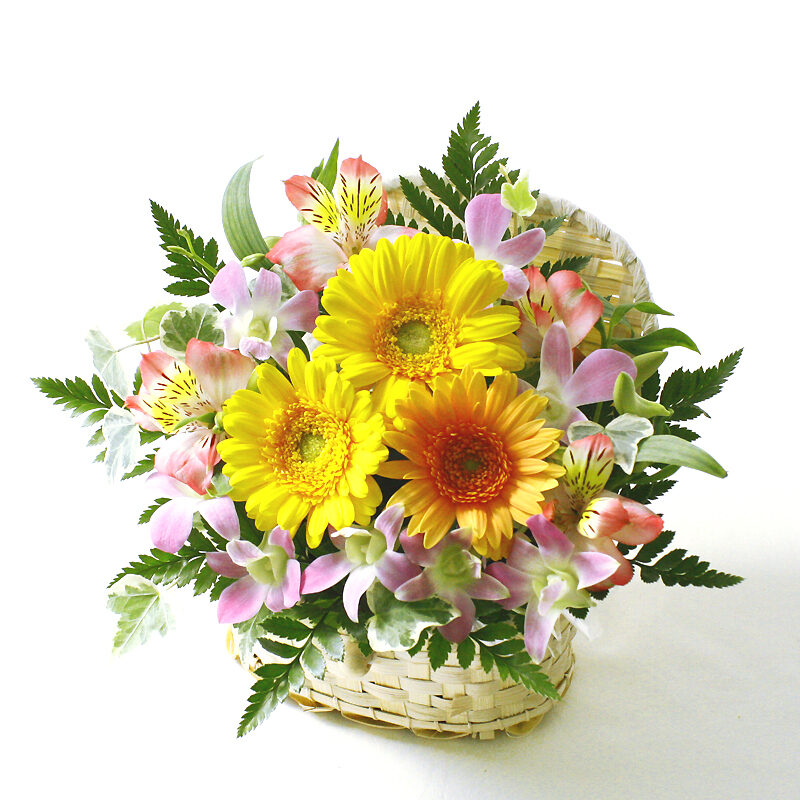White Basket Warm Colors