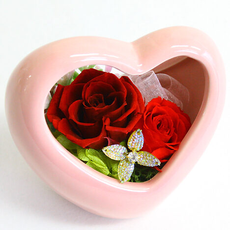 Preserved Arrange Eliza