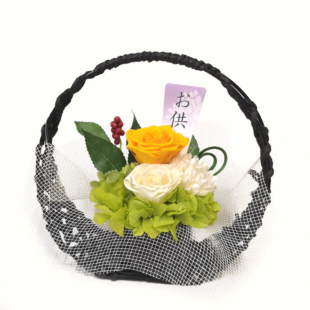 Preserved Arrangement Sho