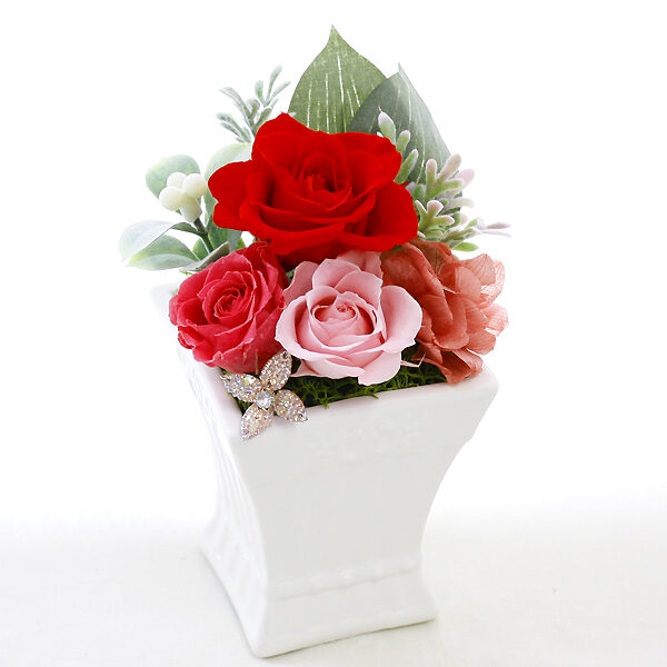 Preserved Arrange Mamer Rouge