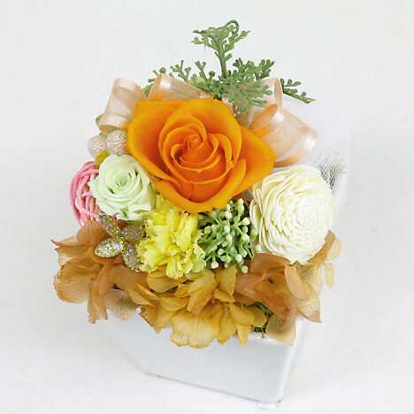 Preserved Arrange Grand Orange