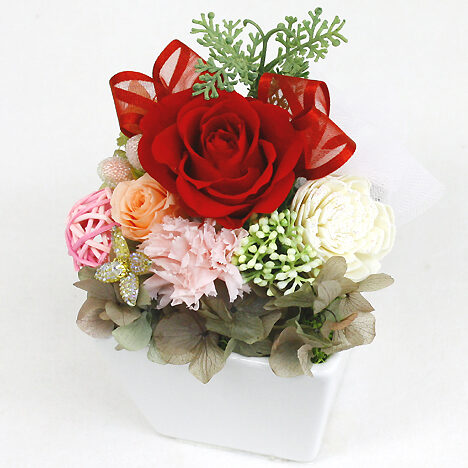 Preserved Arrange Grand Rouge